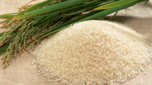 rice