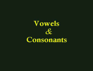 Read more about the article The Vowels and consonants of English alphabets