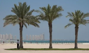 Read more about the article UN nature summit : Put the planet before football