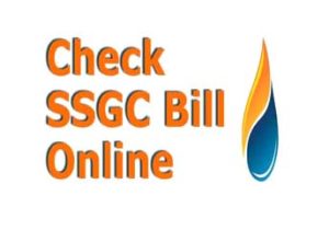 Read more about the article How to Check your SSGC Bill Online | Explore Now