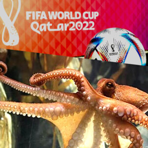 Read more about the article FIFA football world cup 2022: how to predict the winner?