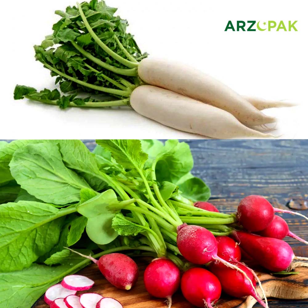 You are currently viewing Radish; a root vegetable and its unique benefits