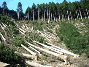 Read more about the article Social and Economic Impact of Global Warming