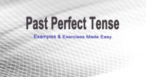 Read more about the article Past Perfect Tense, Examples and Exercises Made Easy Now