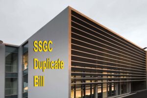 Read more about the article SSGC Duplicate Bill Online | Download Now and Save Time