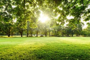 Read more about the article Explore The Effects of Climate Change and Global Warming