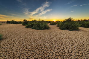 Read more about the article Climate Change Fact | Now Uncover the Truth Here