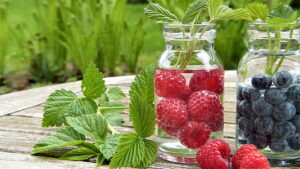 natural detox foods for cleansing