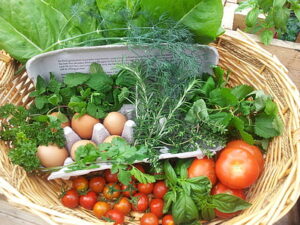 Read more about the article Balance Meal Planning: Now Transform Your Diet and Wellness