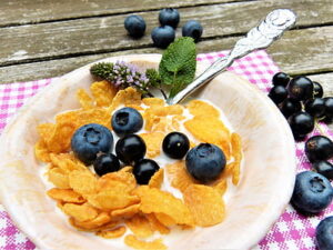 lose weight without counting calories a balanced breakfast meal