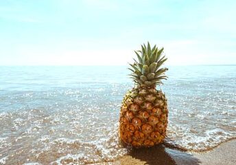 Fresh pineapple slices rich in bromelain digestive enzymes