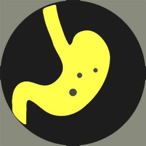 Read more about the article Food Digestion in Stomach | Your Gut Steals Spotlight