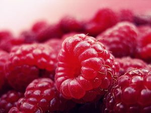 Read more about the article Vitamins for Gut Health and Bloating | How They Help