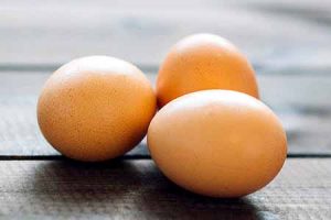 protein in eggs - delicious omelette filled with vegetables, highlighting the protein base
