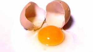 protein in eggs - scrambled eggs, a quick protein-packed meal
