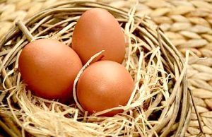 protein in eggs - a perfectly cooked hard-boiled egg, ready to eat