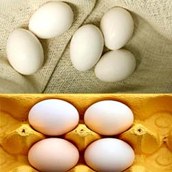 A fluffy yellow omelette on a white plate, illustrating Omelette Calories 2 Egg 3 Egg 4 Egg.