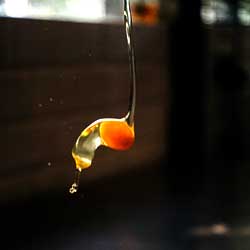 Read more about the article Egg Whites Only Calories | High in Protein! Now Try It.
