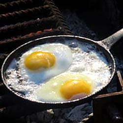 You are currently viewing Poached Egg Calories & Nutrition | Burn fat & build muscle