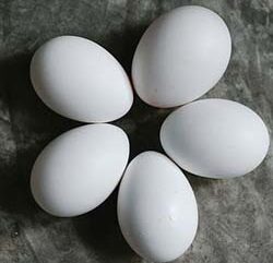 A protein-packed breakfast bowl featuring five boiled eggs to track the Calories in 5 eggs for fitness success.