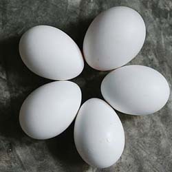 Read more about the article Are the Protein in 5 Eggs Ruining Your Daily Plan?