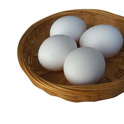 Read more about the article Is the Protein in 4 Eggs Your Secret to Lasting Energy?