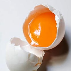 Pouring 100 percent liquid egg whites from a carton for a healthy recipe.