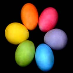 A high-angle shot of a protein-rich breakfast plate featuring the protein in 6 eggs for muscle recovery.