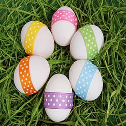 Read more about the article Are You Eating Enough? Why Protein in 6 Eggs Matters Now