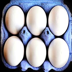 A delicious omelet made with six eggs and fresh vegetables to emphasize the protein in 6 eggs.