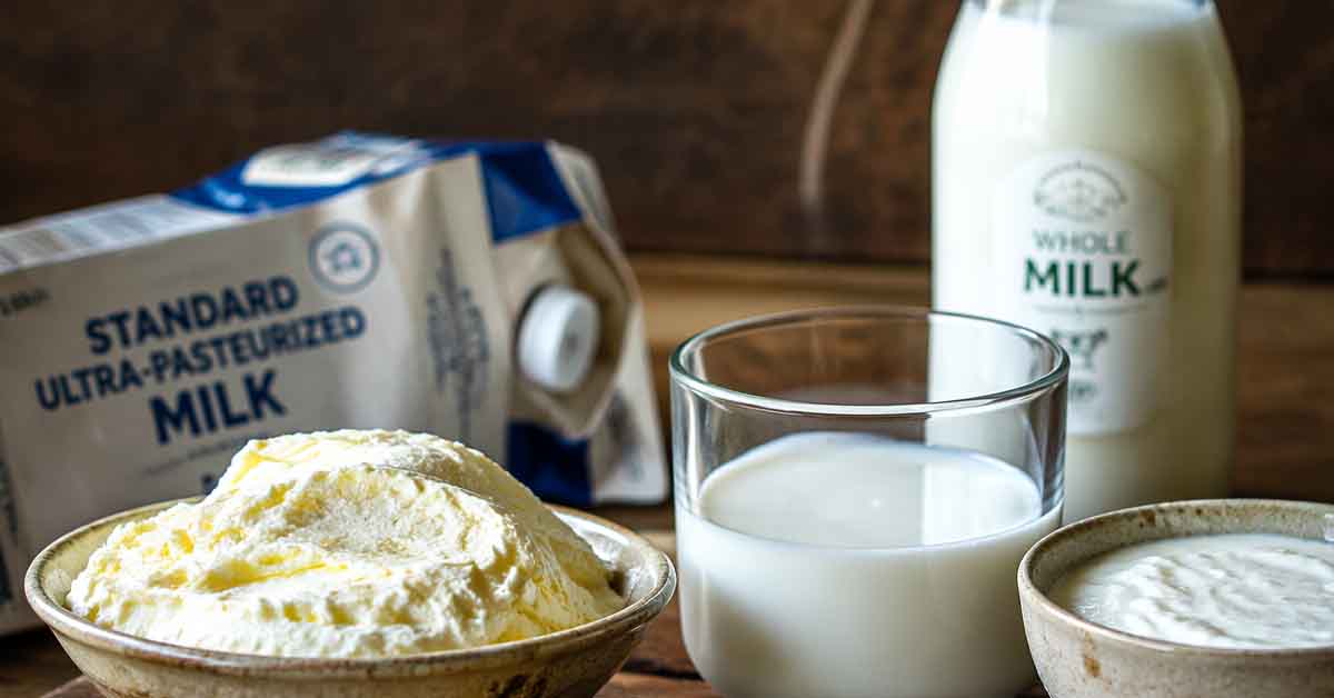 Macro close-up comparing high-fat clotted cream and raw milk against a discarded carton of processed ultra-pasteurized milk, highlighting dairy choices for the carnivore diet.