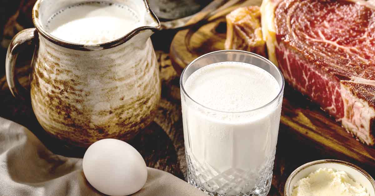Read more about the article Milk on the Carnivore Diet | Benefits, Risks & Dairy Choices